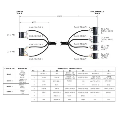 QSM100 Pinout Diagram for CA595 Cable