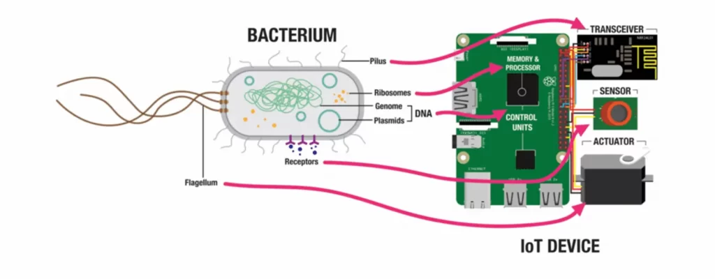 Bacteria IoT device